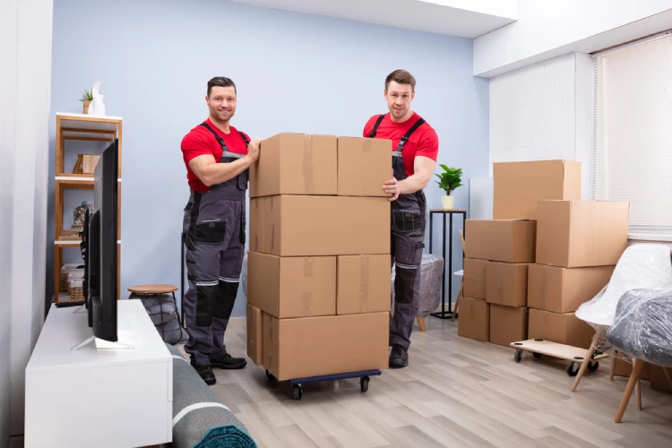 Two Denver movers with stacked boxes on a dolly in a living room—illustrating whether a full packing service is worth it.