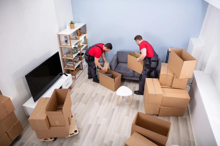 Two professional movers pack boxes in a Denver living room—showing what a full packing service entails.